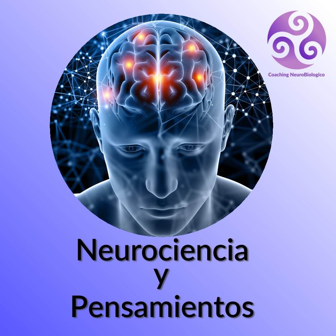 Neurociencia Y Pensamientos | Sanar Las Heridas