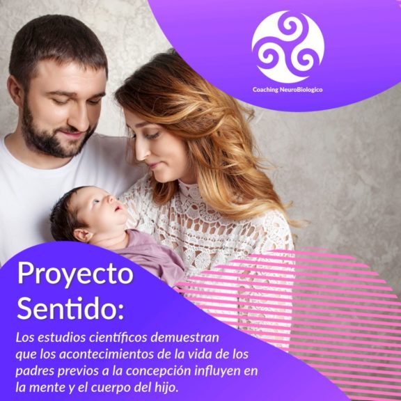 Aprende A Sanar Tu Proyecto Sentido Sanar Las Heridas Coaching De