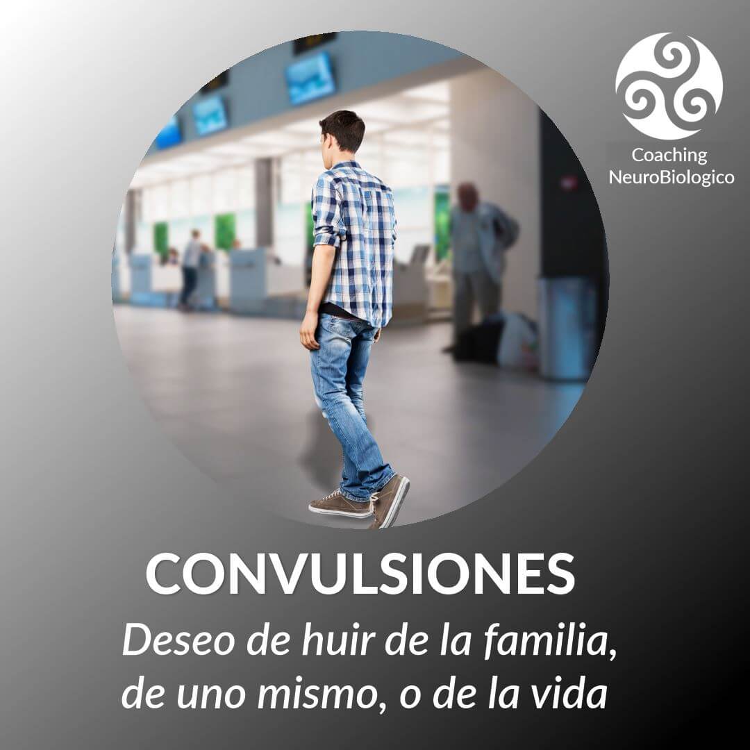 Convulsiones Sanar Las Heridas Coaching De Salud Integral