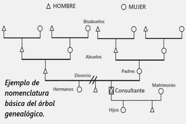 Grafico representa nomenclatura básica árbol genealógico.