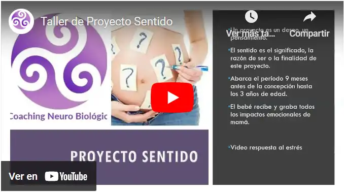 RENACER 4 Proyecto Sentido