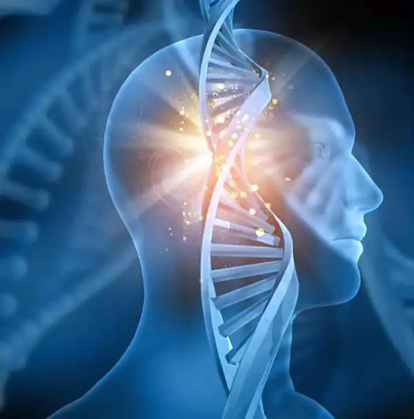 Epigenética: estructura doble hélice ADN