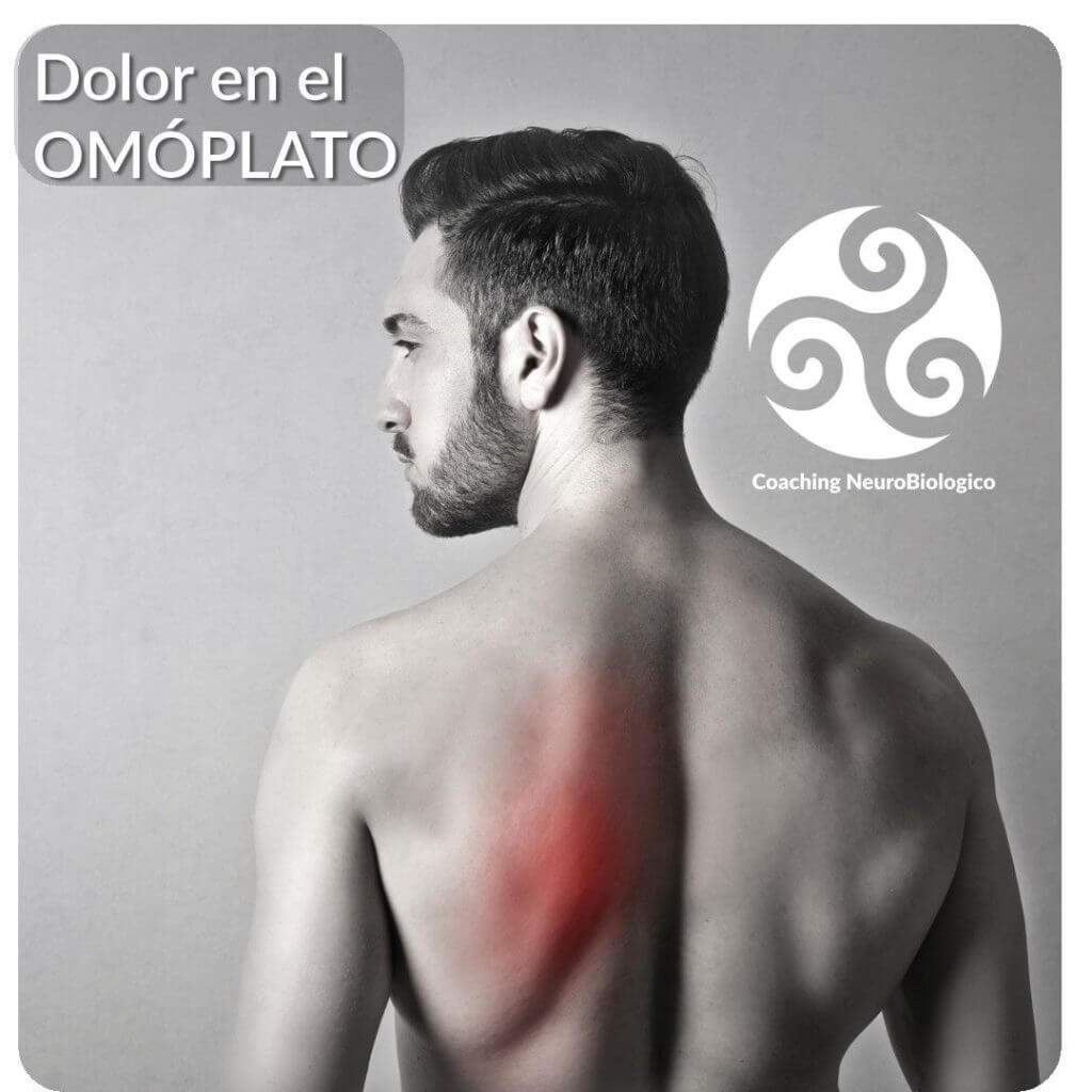 Omóplato Dolor Sanar Las Heridas Coaching De Salud Integral 0017