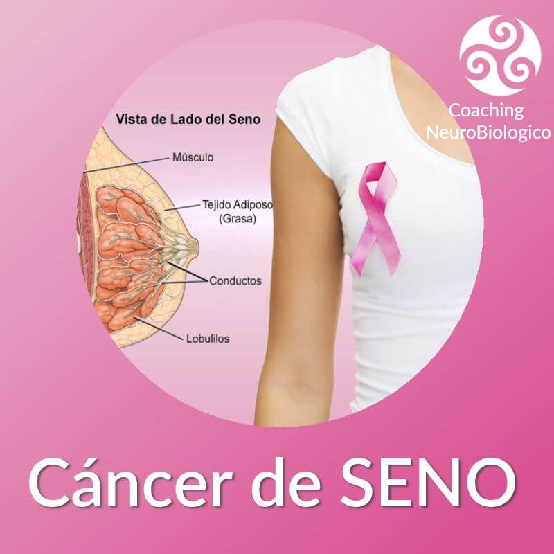 cancer de mama seno