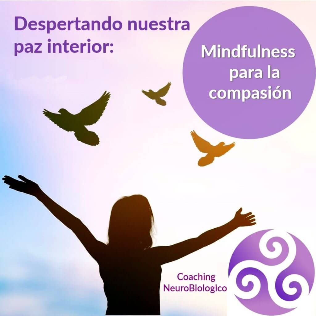 Mindfulness para la compasión