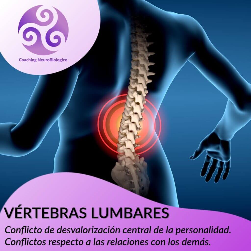 Otros lugares acidez Práctico Vértebras Lumbares – Coaching de Salud Integral.