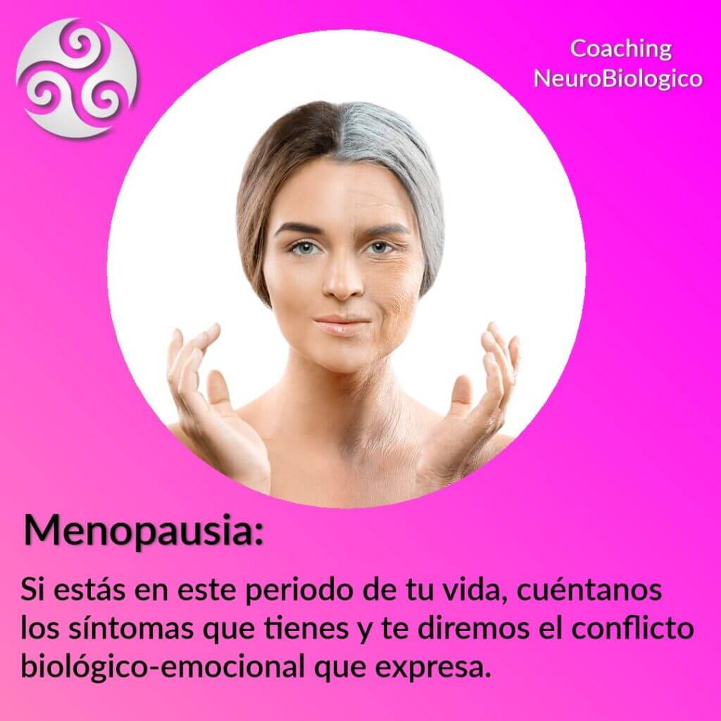 Menopausia