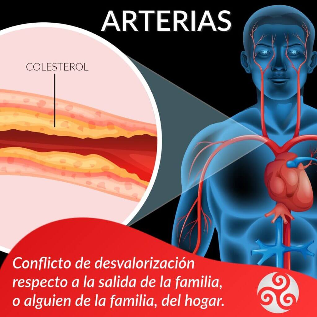 Arterias