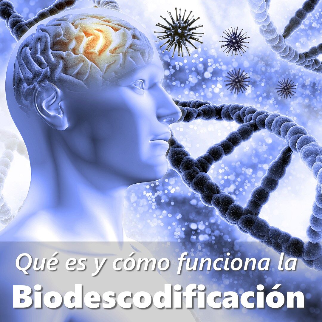¿Qué es la Biodescodificación?