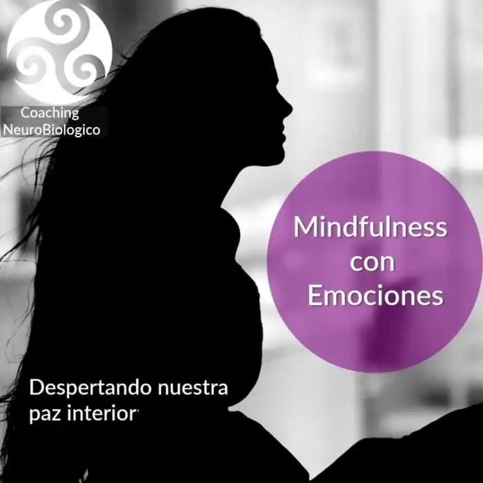 Mindfulness con Emociones. Despertar nuestra paz interior.
