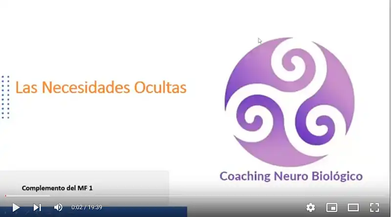 redes neuronales