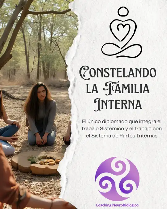 diplomado que integra Constelaciones Sistémicas y el trabajo con el Sistema de Partes Internas.