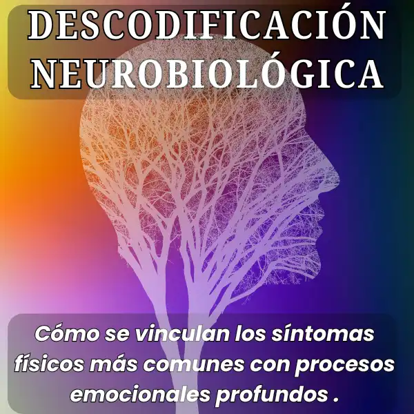 Descodificación Neurobiológica