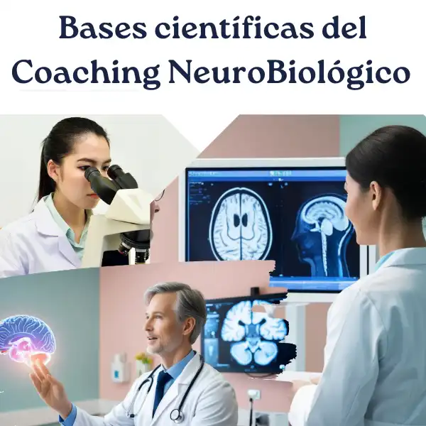 Breve investigación de las pruebas científicas que avalan la mirada del coaching neurobiológico