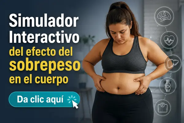 Simulador dee Sobrepeso