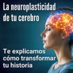 La neuroplasticidad de tu cerebro: Te explicamos cómo transformar tu historia