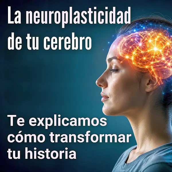La neuroplasticidad de tu cerebro: Te explicamos cómo transformar tu historia