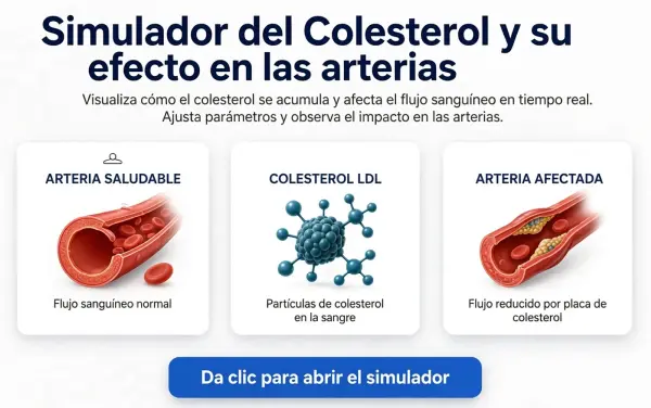 Simulador Interactivo del Colesterol