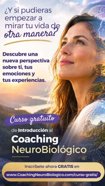 Curso Gratis